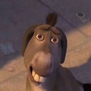 Meet your Posher, Iris